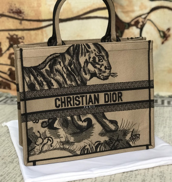 dior tote (lsh5284)